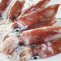 제주 손질 한치700g내외 크기별 (숙회용) 무료산지직송, 손질 한치(중대)700g내외/3마리