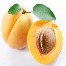 살구씨오일 100ml/살구씨유/클렌징오일/캐리어오일/Apricot kernel oil/천연화장품, 100ml