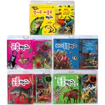 모형과 함께 배우는 백과 시리즈 [전5권] : 양서류 파충류/바다동물/곤충/동물/공룡, 애플비