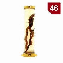 용천자연유리 담금주병 수동 46호, 1개