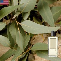 왈트 조말론 파인&유칼립투스 아로마 오일, 02.파인&유칼립투스 50ml, 1개