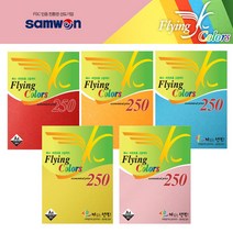 삼원특수지 플라잉칼라 A4 250매 80g 색상지, $ZWB_22 주황색, 250매 1개