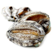 하늘뜰 완도 참전복 1kg 세트, 없음, 완도 참 전복 1kg(20-22마리)