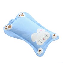 한성실업 메밀 메모리폼 천연라텍스 유아동베개, 03_바니메밀베개 / 10_스카이블루(M)