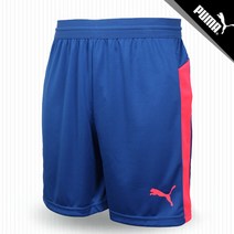 푸마 반바지 IT 에보트레이닝 쇼트 (65518252) 블루
