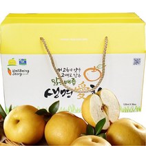생명애찬 맑은배즙 전남 영암 나주 배즙 120ml 30봉 배즙/도라지즙, 30팩