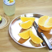 키친앤유 멀티원형접시13cm~27cm, 스텐멀티원형