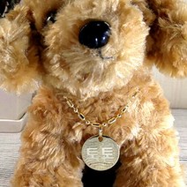 아미펫 고양이 이름표 목줄/목걸이, 골드메탈, 원형