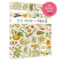 세밀화로 그린 어린이 자연 관찰★내가 좋아하는 시리즈 보급판 골라담기, 20_ 웅진 세밀화 식물도감 (보급판)