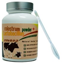 웰펫 초유 앤 유산균 반려동물 영양제, 100g, 1개
