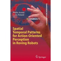Spatial Temporal Patterns for Action-Oriented Perception in Roving Robots, Springer Verlag