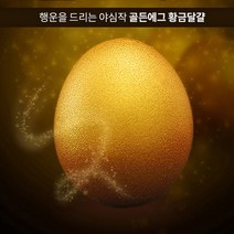 프라임 황금란 5구 /CD 맥반석계란 골드에그 특별한선물, 1개