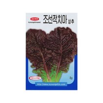 조선적치마상추씨앗 8g