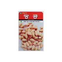 땅콩씨앗 20g