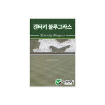 양잔디씨앗 켄터키블루그라스 20kg