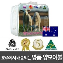 Woolcomfort 호주에서 배송되는 명품 정품 양모이불, King(210X240)