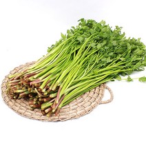 무농약 한재미나리1kg (봉), 한재미나리1kg(봉)