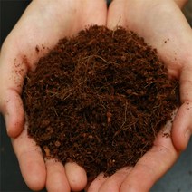 웜팩토리 코코피트 2L 백와 달팽이흙 달팽이 키우기 매트, 1개