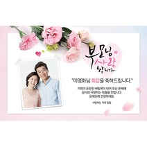 애니데이파티 카네이션편지 (포토형) 현수막, 기타