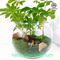 자연소년 사슴의 숲 오픈테라리움