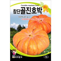 참단골진호박 맷돌호박 ( pumpkin seed 30알 )