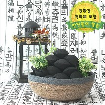 반딧불이 야자숯 코코넛 볼, 1개, 2kg