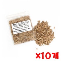 펫모닝 귀리씨앗 12g 국산귀리씨앗 캣그라스 캣, 10개
