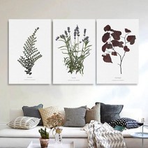 모던팩토리 북유럽 보테니컬 드로잉아트 캔버스액자 40종 정사각/직사각, 4