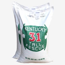 시드팜 톨훼스큐 1kg 잔디씨 잔디씨앗, 1개