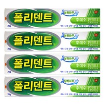 폴리덴트 의치부착재 후레쉬 민트 70g, 4개