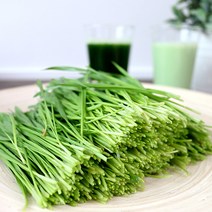 [산지직송]청정 강원도 평창 재배 생 밀싹, 500g