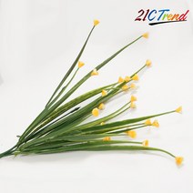 21세기트랜드 사랑을 부르는 아름다운, 붓꽃-노랑