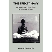 The Treaty Navy: The Story of the US Naval Service Between the World Wars Paperback, Trafford Publishing