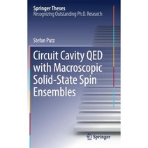 Circuit Cavity Qed with Macroscopic Solid-State Spin Ensembles Hardcover, Springer