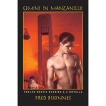 Gemini in Manzanillo Paperback, Booksurge Publishing