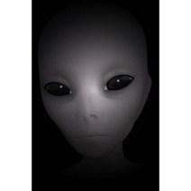 Portrait of a Grey Alien Journal (or Gray Alien): 150 Page Lined Notebook/Diary Paperback, Createspace Independent Publishing Platform