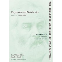 Daybooks and Notebooks Volume 2: Daybooks: December 1881-1891 Paperback, New York University Press