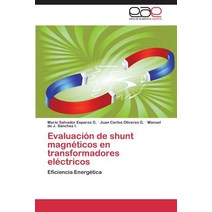 Evaluacion de Shunt Magneticos En Transformadores Electricos Paperback, Eae Editorial Academia Espanola