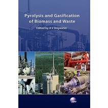 Pyrolysis and Gasification of Biomass and Waste Hardcover, Cpl Press