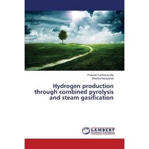 Hydrogen Production Through Combined Pyrolysis and Steam Gasification Paperback, LAP Lambert Academic Publishing