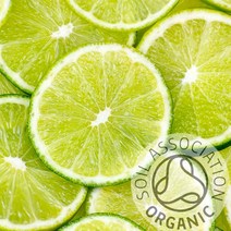 커풋(영국) 라임 30ml 유기농 (Lime Essential Oil) 에센셜오일, 1개