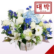대박플라워 화이트블루 꽃바구니, 1개