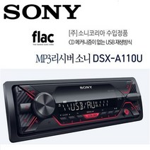 소니 DSX-A110U 메카리스 카오디오