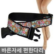 헬스데이 자세교정벨트 바른자세 편한다리, 1개