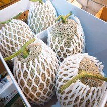 달달과수원 신선하고 맛있는 머스크 메론 6~7kg 한박스 4수 5수 6수 멜론, 5개