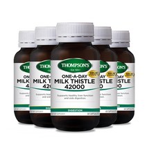 톰슨 밀크시슬 42000 60캡슐 5통 Thompson Milk Thistle, 5개, 200g