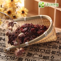 자연웰 무배 국산산수유40g*2개 한약재 한방재료 약재 산수유, 40g, 2개