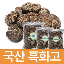 창제일농수산 국산흑화고표고버섯200g300g500g최고품질!최저가!, 1개, 200g