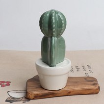 비모란 선인장