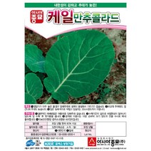 아시아종묘 케일씨앗 만추콜라드 (10g), 1개